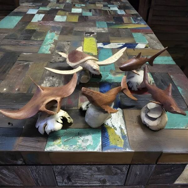 Marine Creatures Group