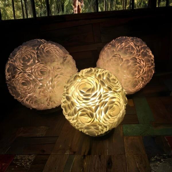 Shell Globe Lamps