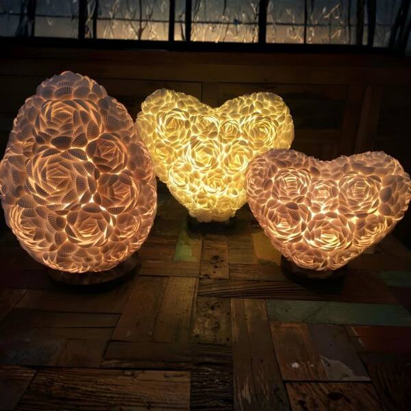 Shell Rose Lamps